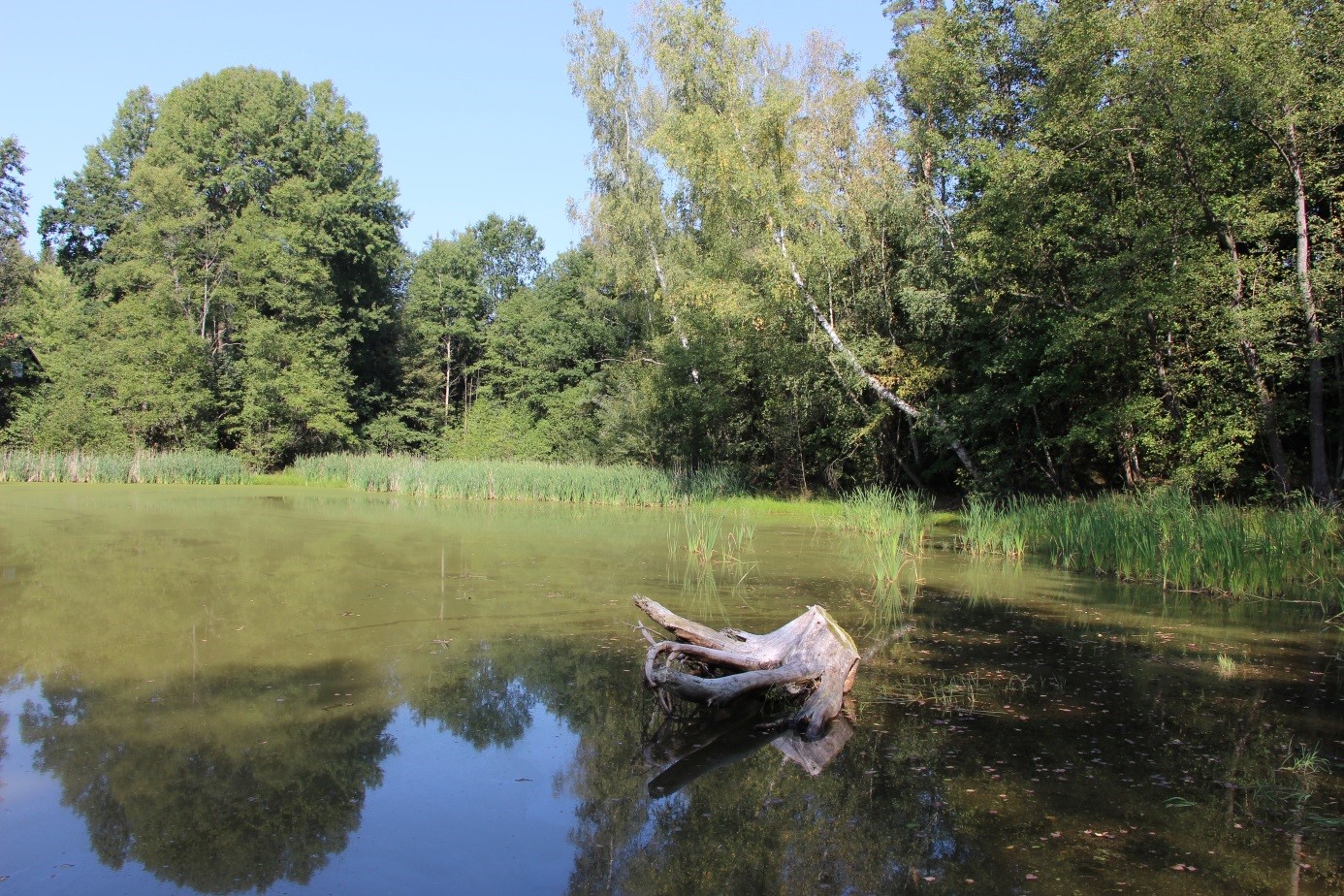 Revitalizace PR U Sedmi ryvníků, foto: Barbora Maršálková