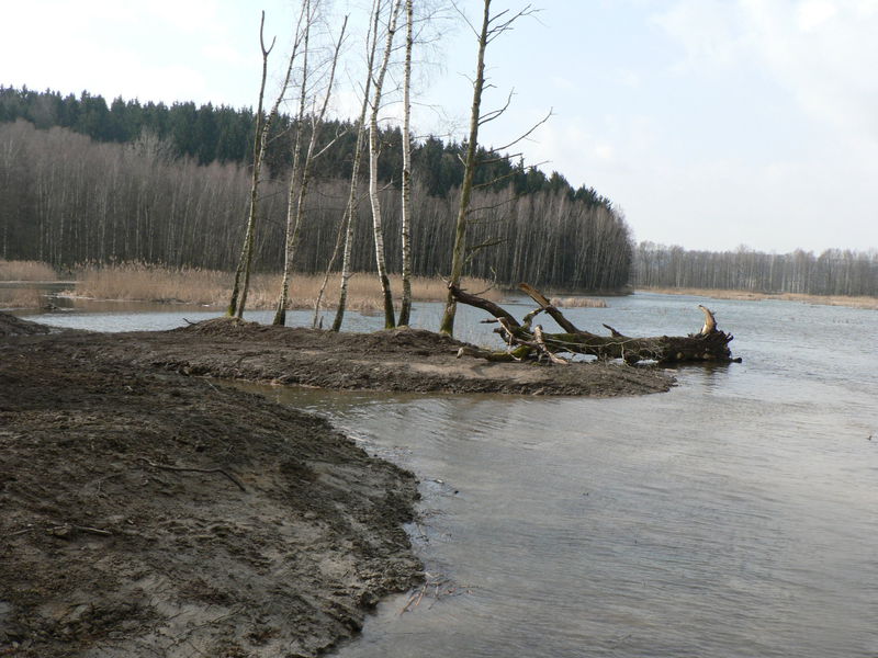 Revitalizace rybníků v přírodní rezervaci Meandry Smědé.