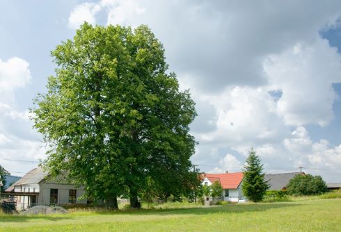 Zastavěná krajina.