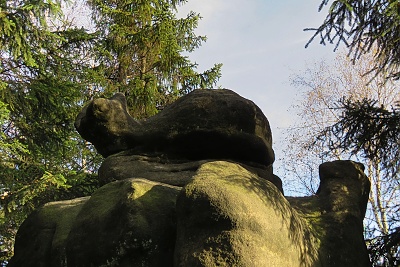 Broumovské stěny-želva.