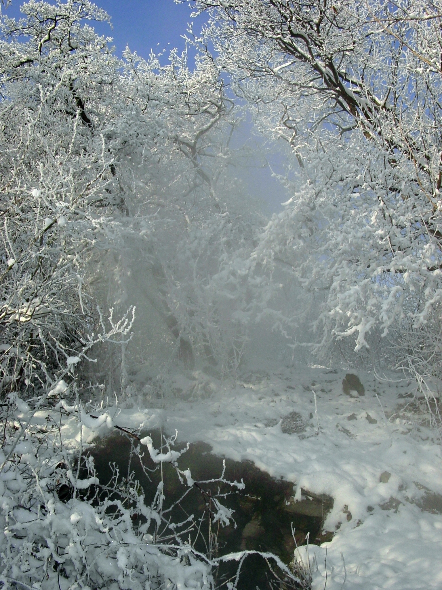 NPP Boreč - Ventaroly.